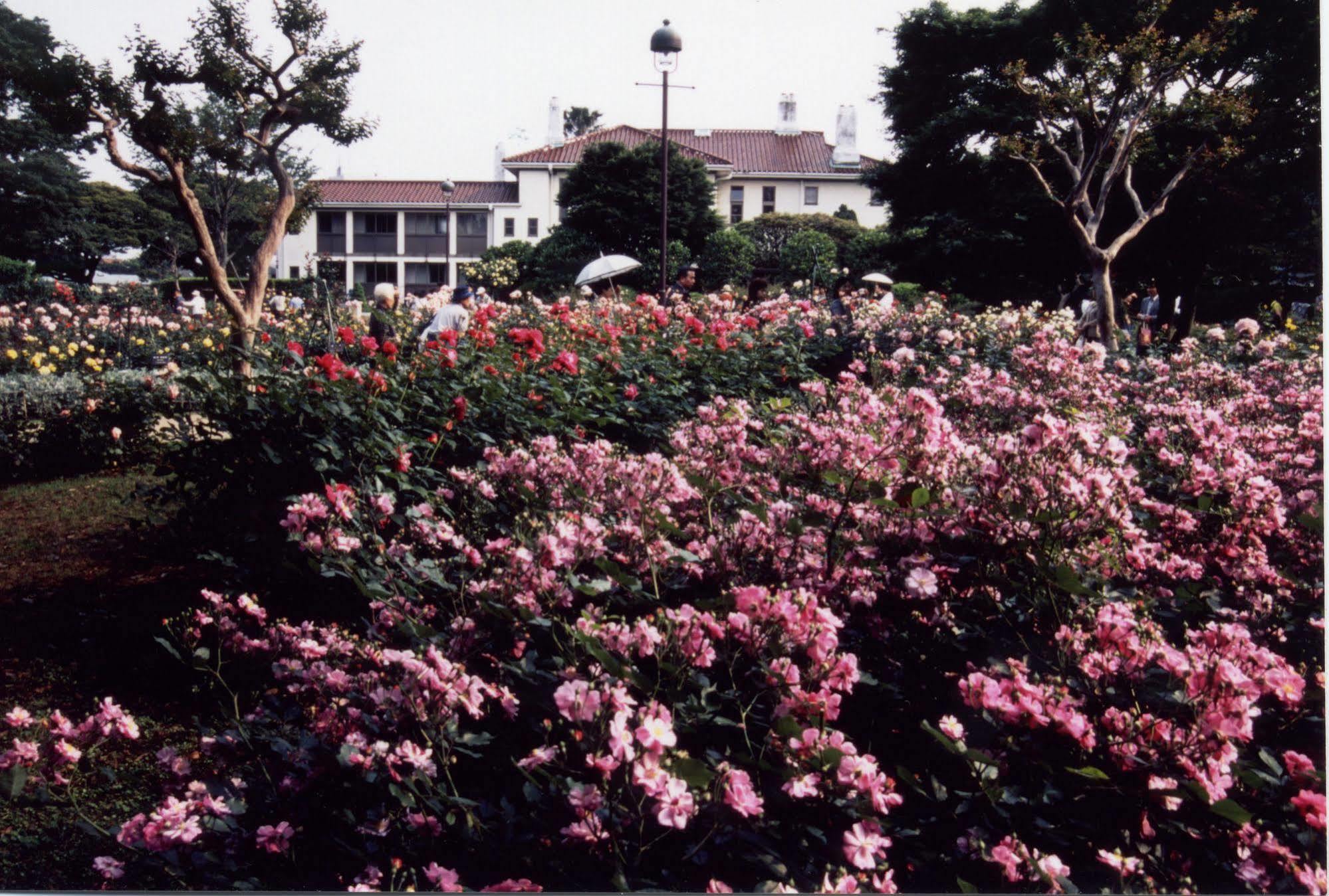 Sotetsu Fresa Inn Yokohama Totsuka מראה חיצוני תמונה